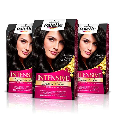 Palette Intense Cream Coloration Intensive Coloración del Cabello 1 Negro