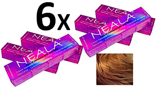 Pack 6 Tintes Profesionales SIN AMONIACO y libre de PPD- 7.07- Rubio Medio Miel