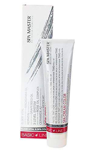 Tinte Permanente Spa Master 100ml (MATT Corrector Antirojo)