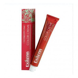 EXITENN COLOR CREME 60 ml, COLOR 1107 NORDICO PISTACHO (ANT. 11/0.07)