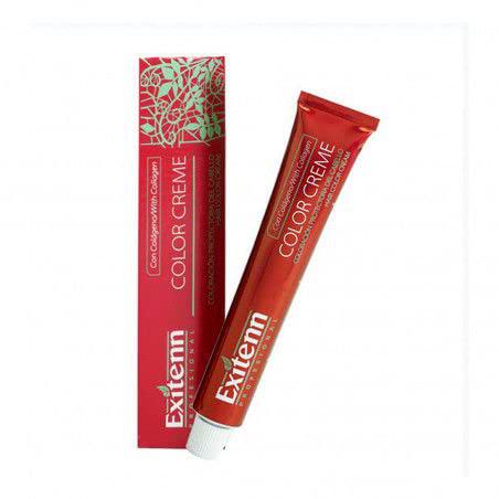 EXITENN COLOR CREME 60 ml, COLOR 1107 NORDICO PISTACHO (ANT. 11/0.07)