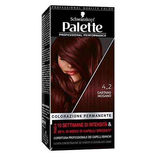 Palette colorazione Professional Performance 4_2 CASTANO MOGANO