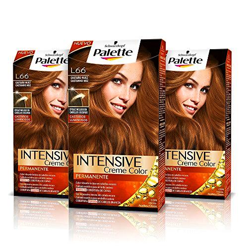 Palette Intense Cream Coloration Intensive Coloración del Cabello L66 Castaño Nuez