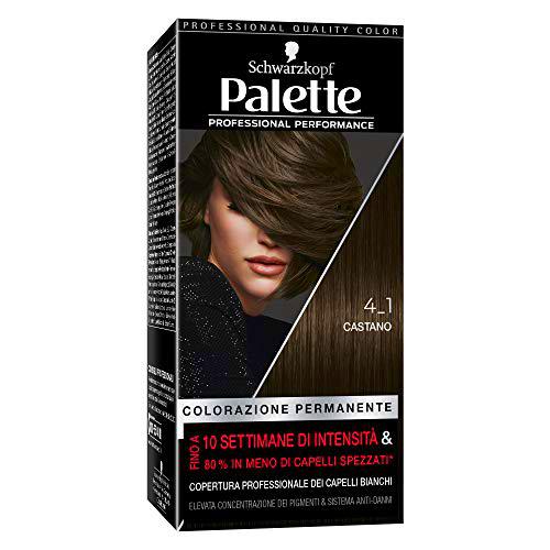 Palette colorazione Professional Performance 4_1 CASTANO